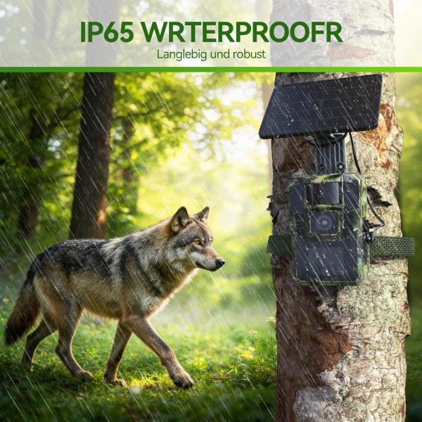 WLAN Solar Wildlife Camera 4K 48MP with Mobile Phone Transfer App, Wildlife Camera with Night Vision Motion Sensor Built-in 5200 mAh Lithium Battery, 64 GB SD Card, 0.1 s Trigger Motion Activated