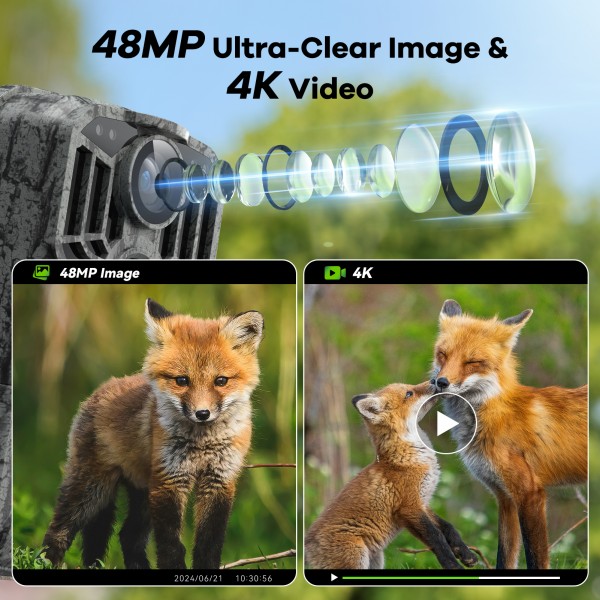 DEATTI Wildlife Camera with Mobile Phone Transmission App, 4K 48MP HD WLAN Bluetooth Wildlife Camera with Motion Sensor Night Vision 120° Wide Angle Wildlife Camera, IP66 Waterproof, 32GB SD Card and